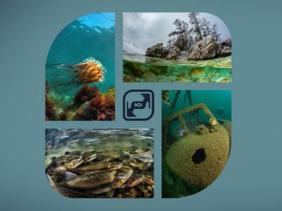 Награждение победителей международного конкурса подводной фотографии