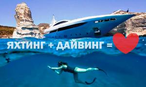 Большая встреча с будущими участниками зоны Водные Люди на Moscow Dive Show 2018