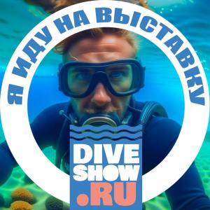 Рамки Moscow Dive Show 2024 для аватаров
