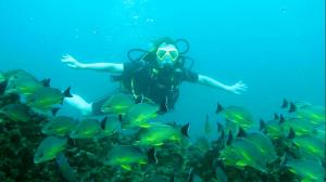 Hikkaduwa Divers NDL 5* Diving Resort — дайв-центр с инструкторским обучением на Шри-Ланке и новый участник Moscow Dive Show