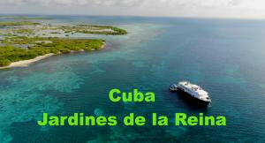 «Гигантские груперы Карибского моря» — Юрий Реборедо с рассказом о новых и старых обитателях национального кубинского парка «Сады Королевы»