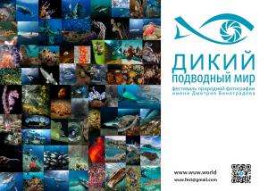 Подводные 3D-объекты, чёрная вода, Монерон в альбоме и всё-всё-всё о подводной фотографии на Moscow Dive Show 2024