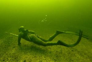 Фильм Подводная охота на трофейную щуку зимой на Moscow Dive Show 2017